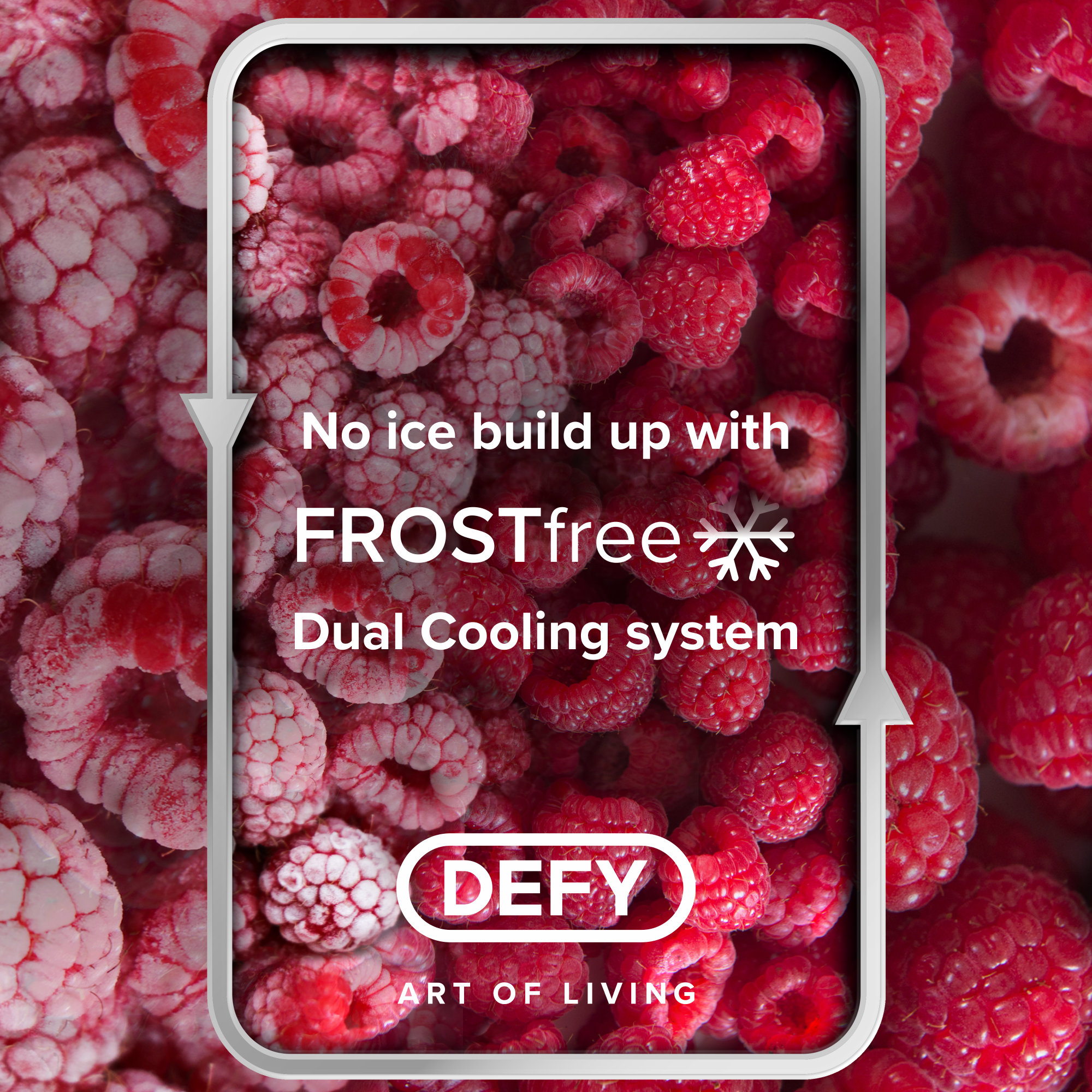 Defy 302L Fridge/Freezer Metallic DAC639