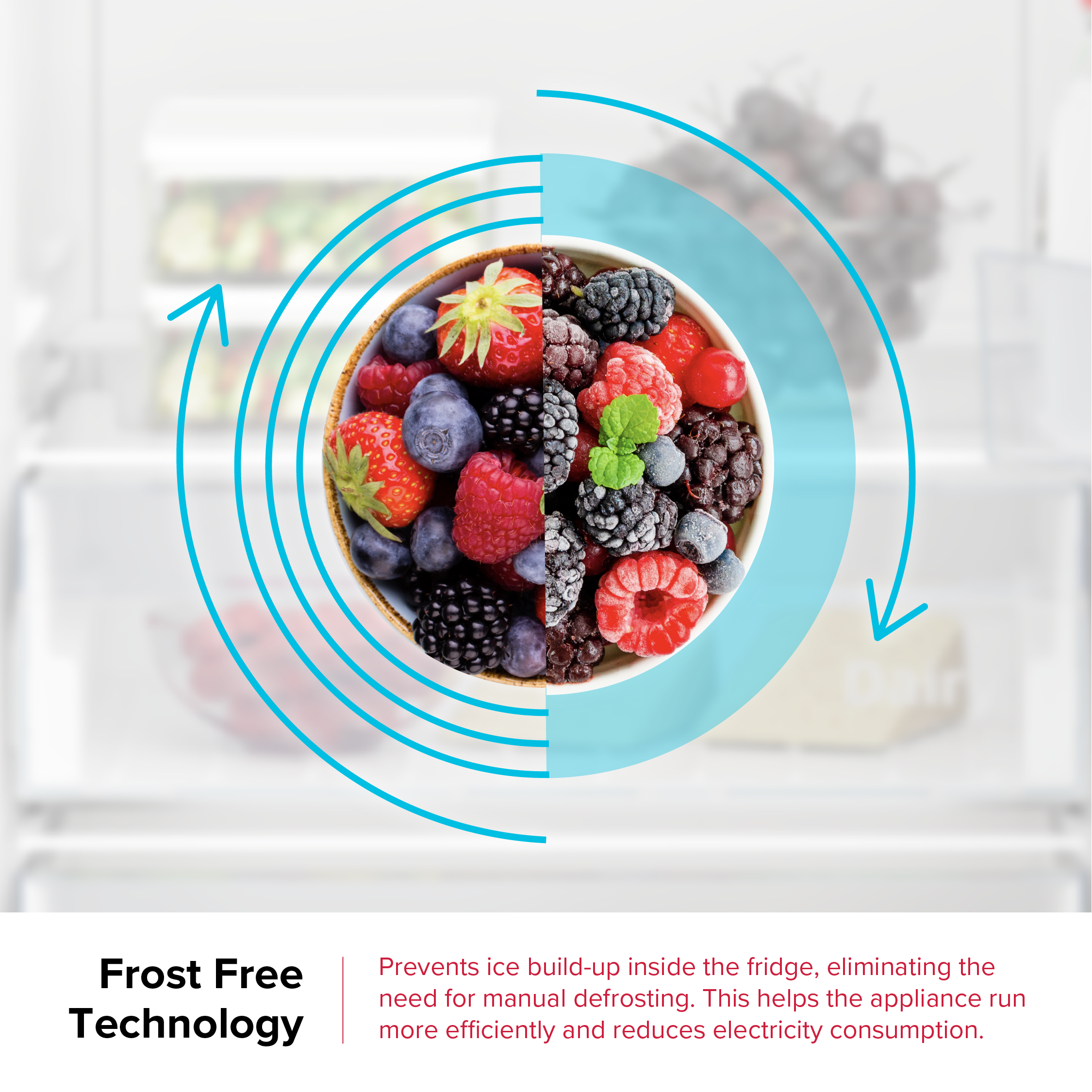 DEFY Upright Fridge 343L Inox DFD458