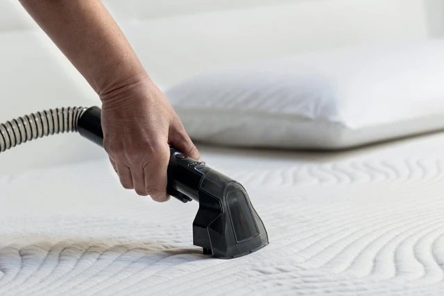 Kenwood Spot Cleaner 750W Ultra Powerful Wet & Dry Carpet Cleaner SCP100.000GY-11